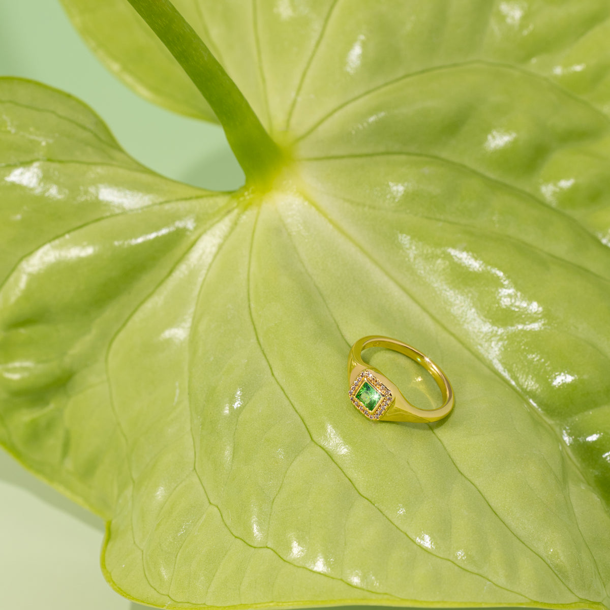 Guardian Pinky Ring 綠御尾戒