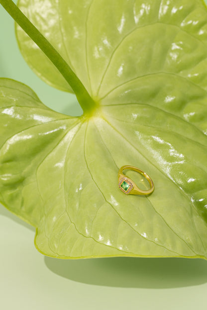Guardian Pinky Ring 綠御尾戒